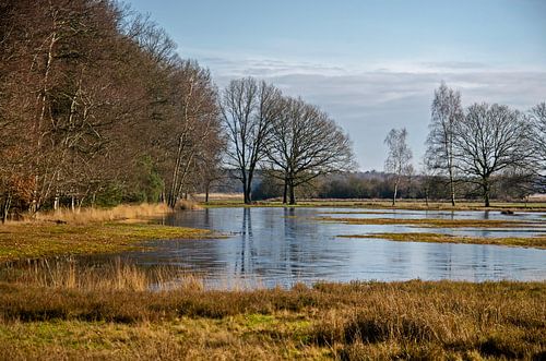 Spiegeling op dun ijs