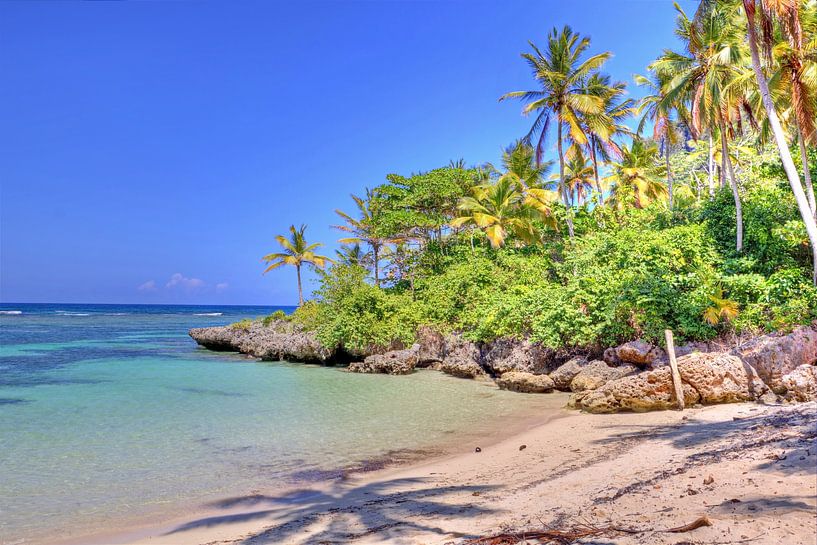 Bij Playa Rincon op het schiereiland Samaná van Roith Fotografie