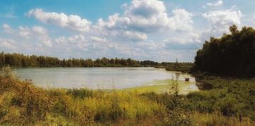 in de biesbosch van Yvonne Blokland