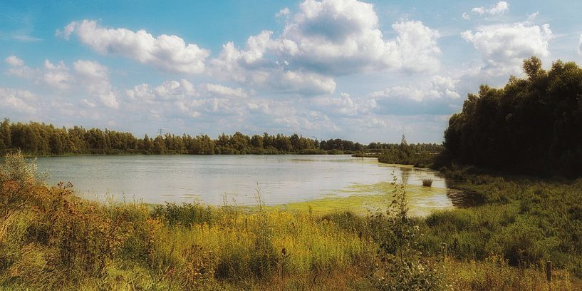 in the biesbosch by Yvonne Blokland