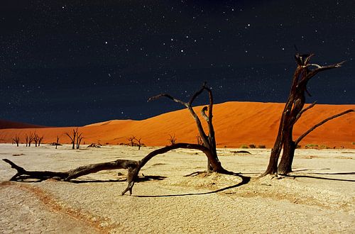 Namibia Deadvlei tree skeletons at night