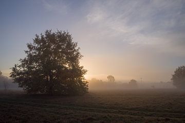 Morgenröte im Oktober