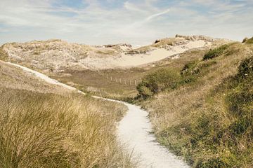 Paysage de dunes au bord de la mer du Nord. sur Alie Ekkelenkamp