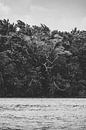 Sustainable Encounters: Eco Crocodile Tour by Ken Tempelers thumbnail