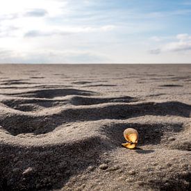 Zonaanbiedster op het Wad van Peter van der Werf