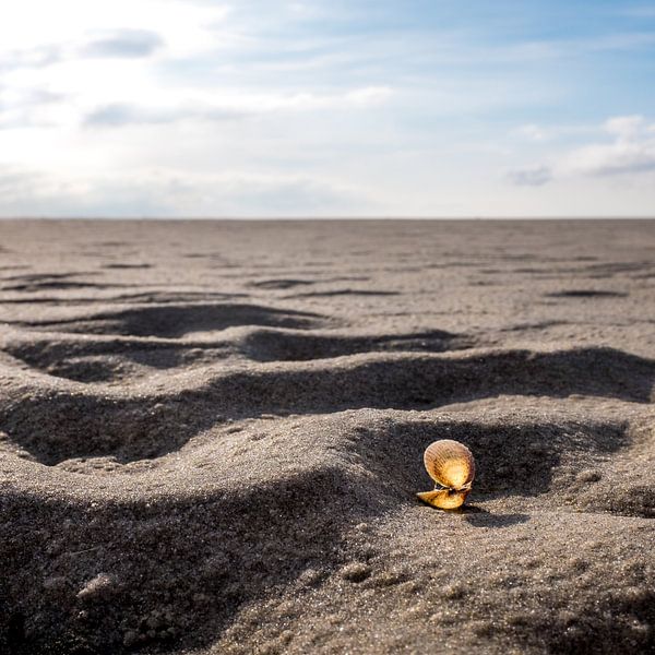 Zonaanbiedster op het Wad van Peter van der Werf