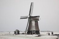 Windmühle in Noord-Holland  von eric van der eijk Miniaturansicht