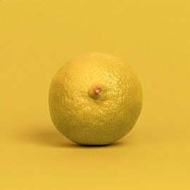Yellow-green lemon by Merel Verkerk