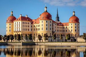 Schloss Moritzburg (Sachsen)