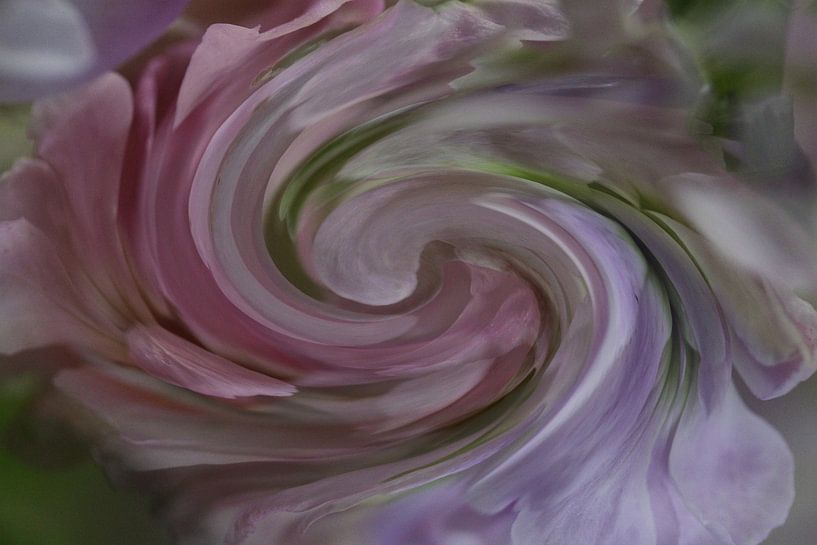 Spirale colorée Violet par Art. by Janine