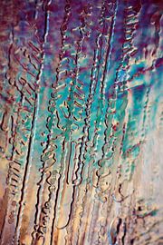 ice art... von Els Fonteine