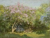 Flieder in der Sonne, Claude Monet von Meesterlijcke Meesters Miniaturansicht