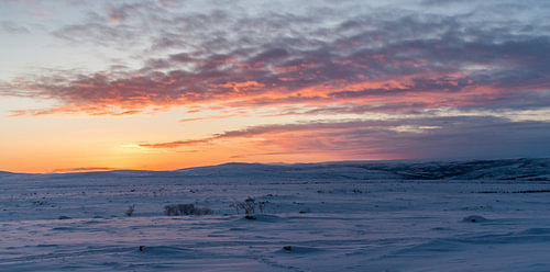 Pastellbilder über die Tundra