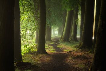 Stille doorgang