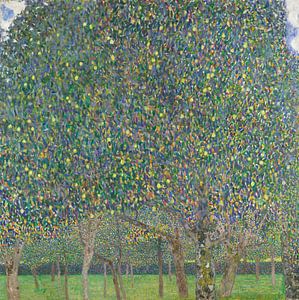 Birnbaum, Gustav Klimt
