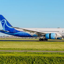 IndiGo Boeing 787-9 Dreamliner passagiersvliegtuig. van Jaap van den Berg
