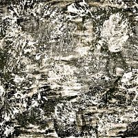 Abstract Autumn In Black And White