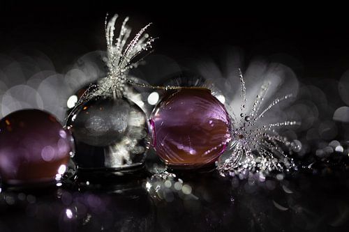 Water beads with dandelion fluff 1