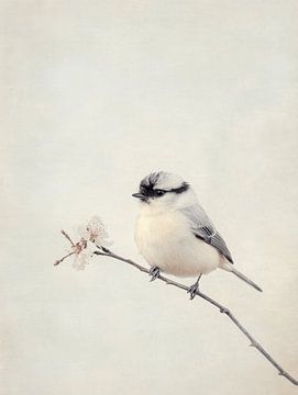 Vogeltje op een tak van Japandi Art Studio