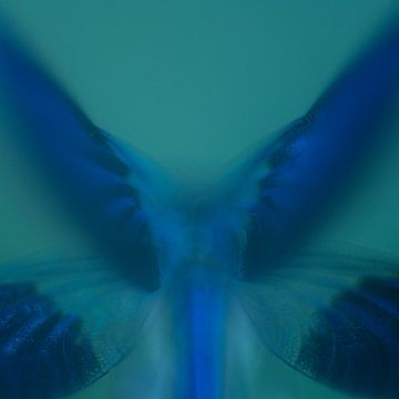 Blauwe Vleugels Weidebeekjuffer Abstract van Nanda Bussers