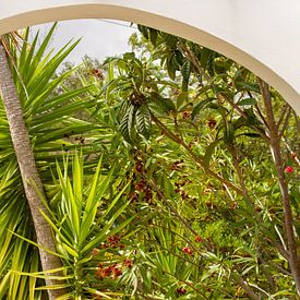 Arche transparente dans un jardin portugais sur Irene Lommers