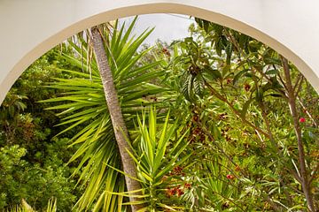 Arche transparente dans un jardin portugais