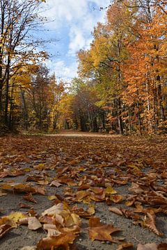 Eine Landstraße im Herbst von Claude Laprise