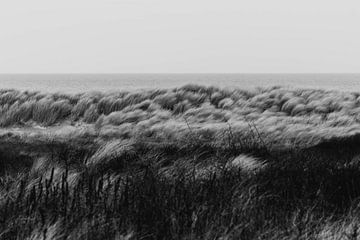 Zwart wit duinen in het Westduinpark in Scheveningen van Anne Zwagers