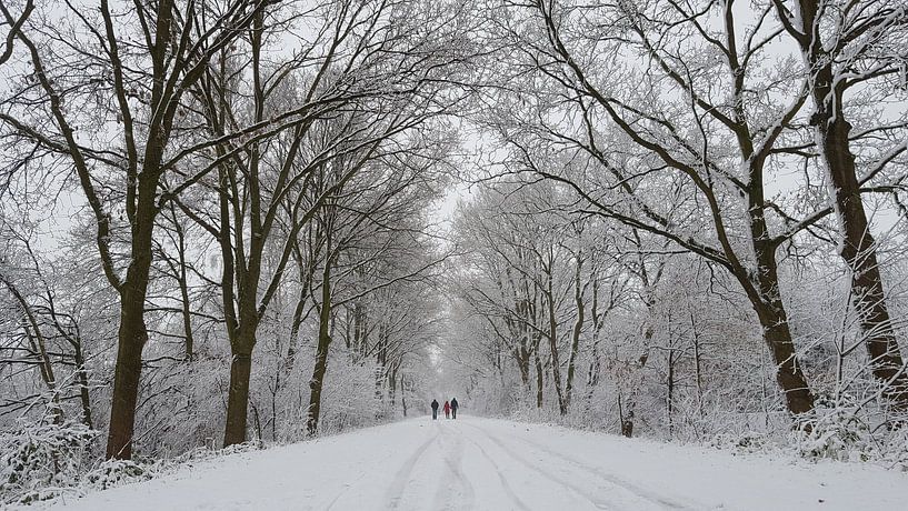 Follow the winterpath by RJH van de Kimmenade