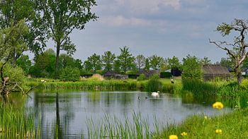 Eine ruhige holländische Polderlandschaft.