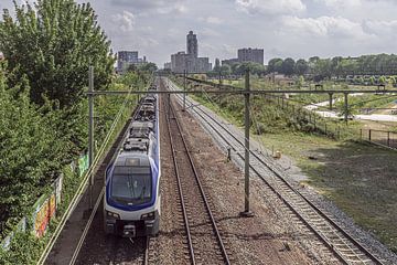 Spoorpark Tilburg seen from Spoorviaduct