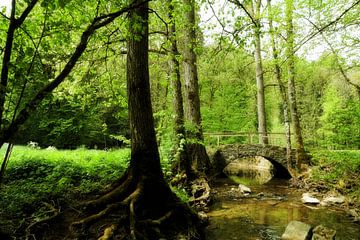 Stenen brug in het bos van Toni Stauche