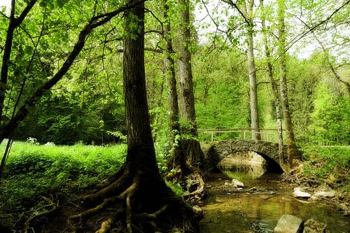 Stone bridge in the forest