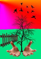 Plant een boom- plant a tree- Pflanze einen Baum-Plantez un arbre