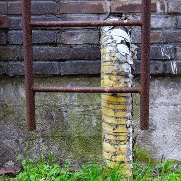 Urbex detail - Afvoerpijp met verroeste ladder