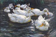 Sechs Enten im Wasser, ALEXANDER KOESTER, Ca. 1900-1905 von Atelier Liesjes Miniaturansicht