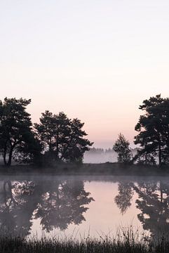 Verstild staan van Miranda Ten Hout