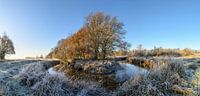 Drentsche Aa - Deurzerdiep in autumn