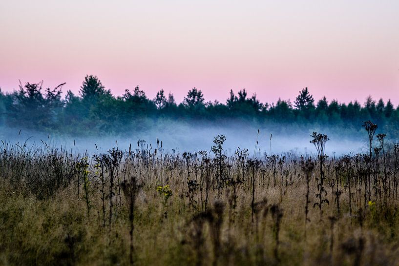 Ochtend nevel bij zonsopkomst von Marjo Kusters