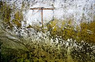 Muur begroeid met mos by Alice Berkien-van Mil thumbnail