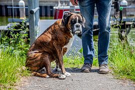 Lieke by Joy Droogsma