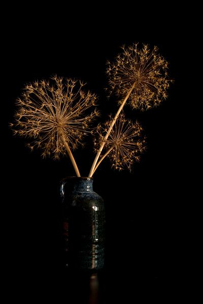 vertical still life of blue vase with dried onion bulb flowers by ChrisWillemsen