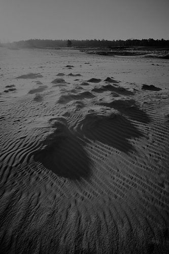 morning light over dune landscape
