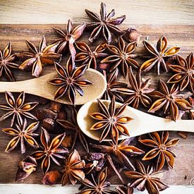 Star anise by Astrid Kleijn