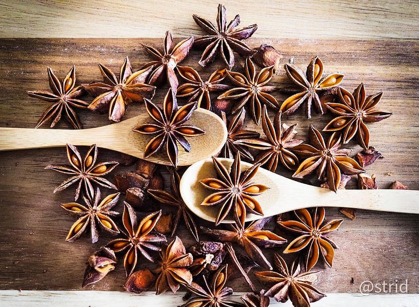 Star anise by Astrid Kleijn