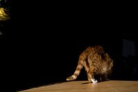 Adventurous 'quiet' life