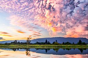 Landschaft
