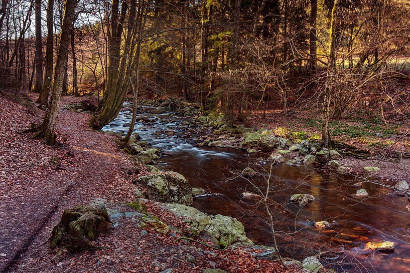 Mountain river La Hoëgne by Rob Boon