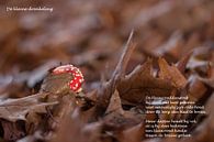 The little drowning man by Natuurfotografie_simoneopdam thumbnail