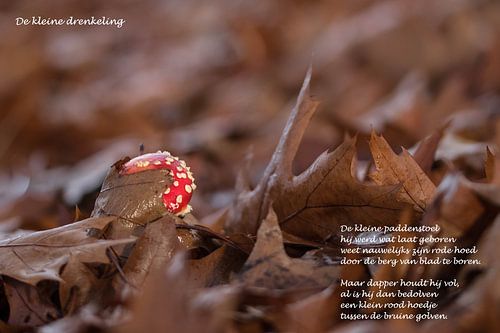 Le petit homme qui se noie sur Natuurfotografie_simoneopdam